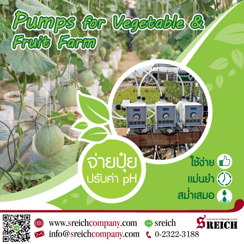 Dosing pump ปั๊มจ่ายปุ๋ยในระบบน้ำแก่พืชผล ผัก อย่างมีประสิทธิภาพ 
